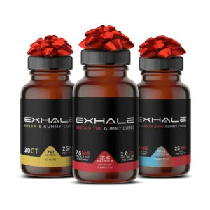 Holiday Calming Bundle