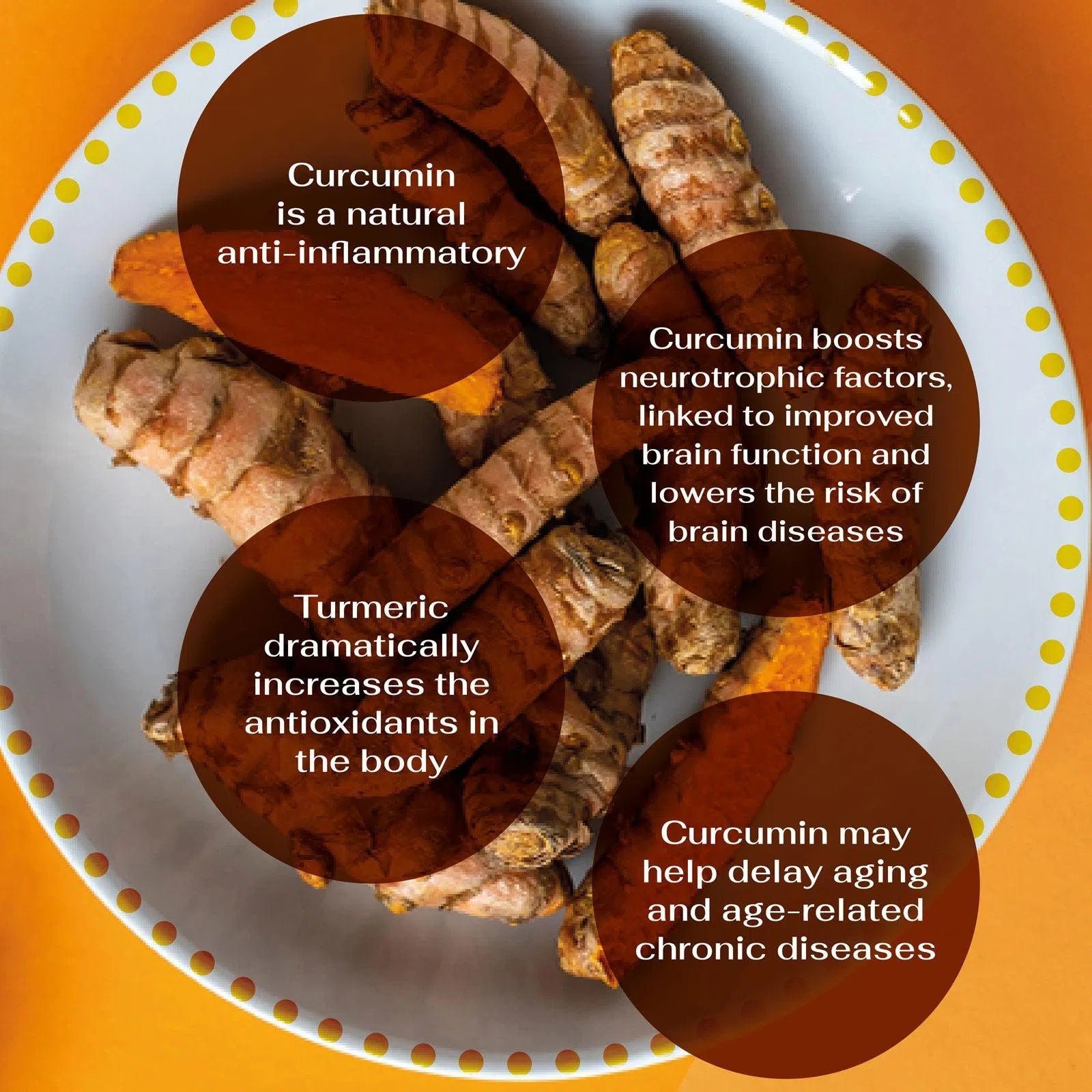 Active Curcumin - Image 5