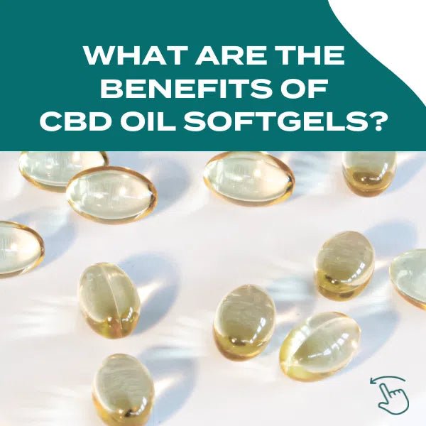 CBD Oil Capsules - Image 2